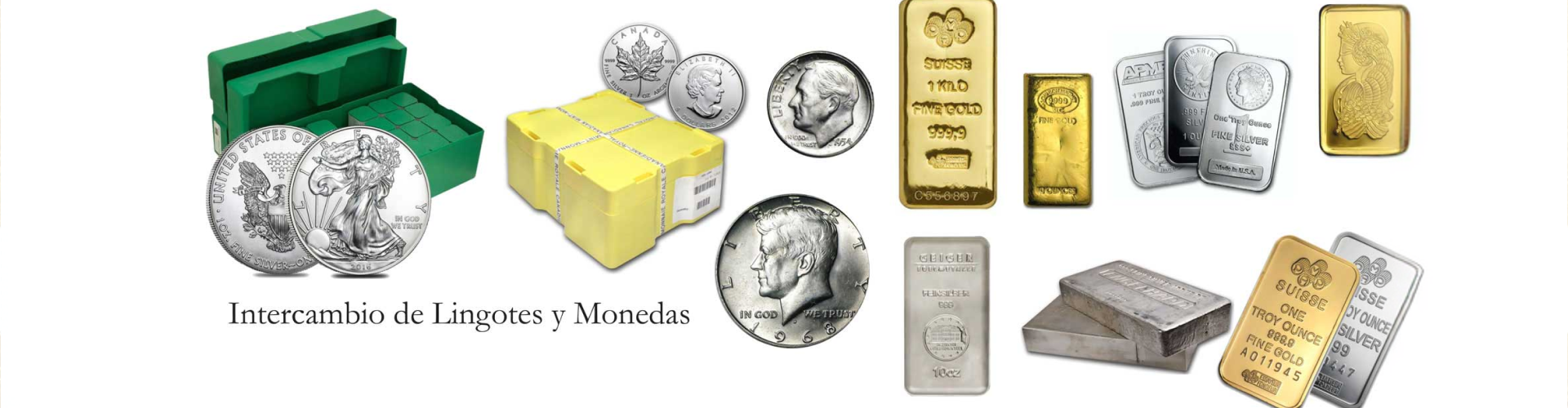bullion-coins-banner (1)